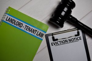 Documents showing text Tenant Law and Eviction Notice along with a gavel