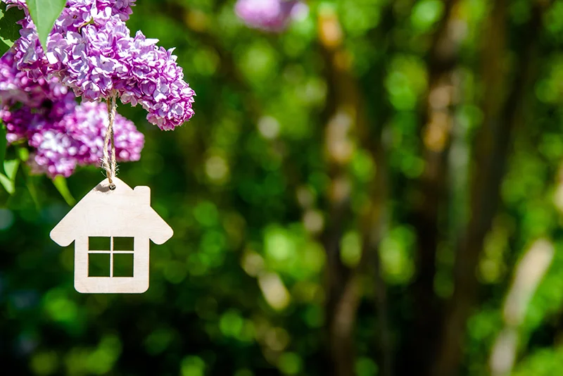 little wooden house and flowers
