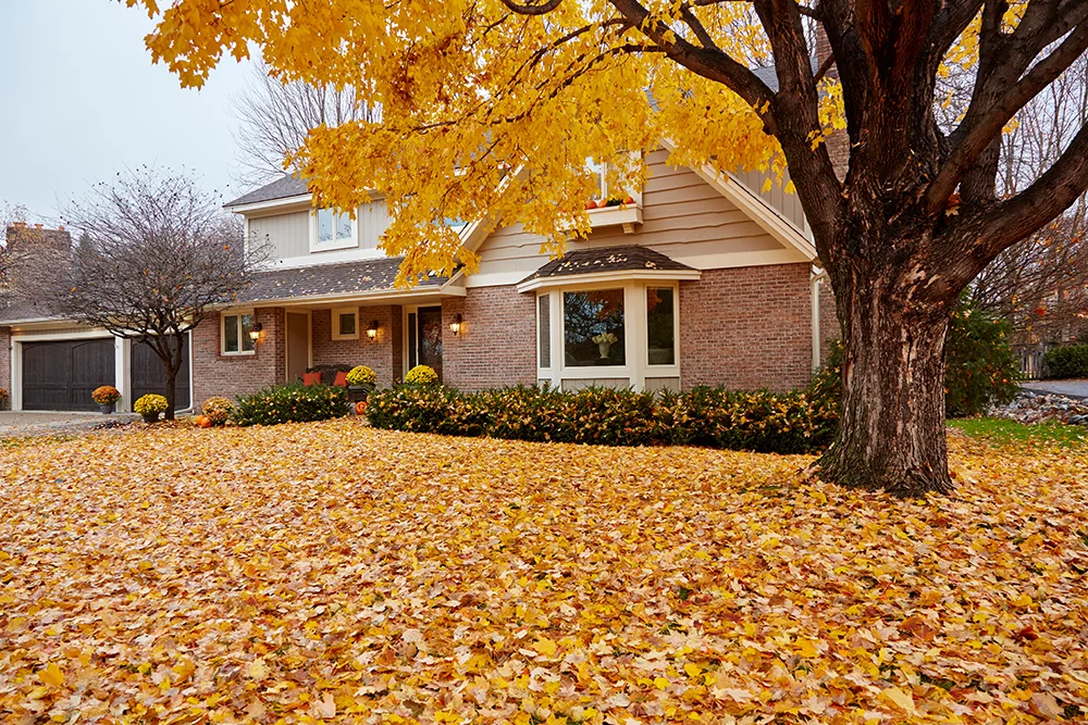 A rental home pictured in autumn, with yellow and orange leaves on the ground.