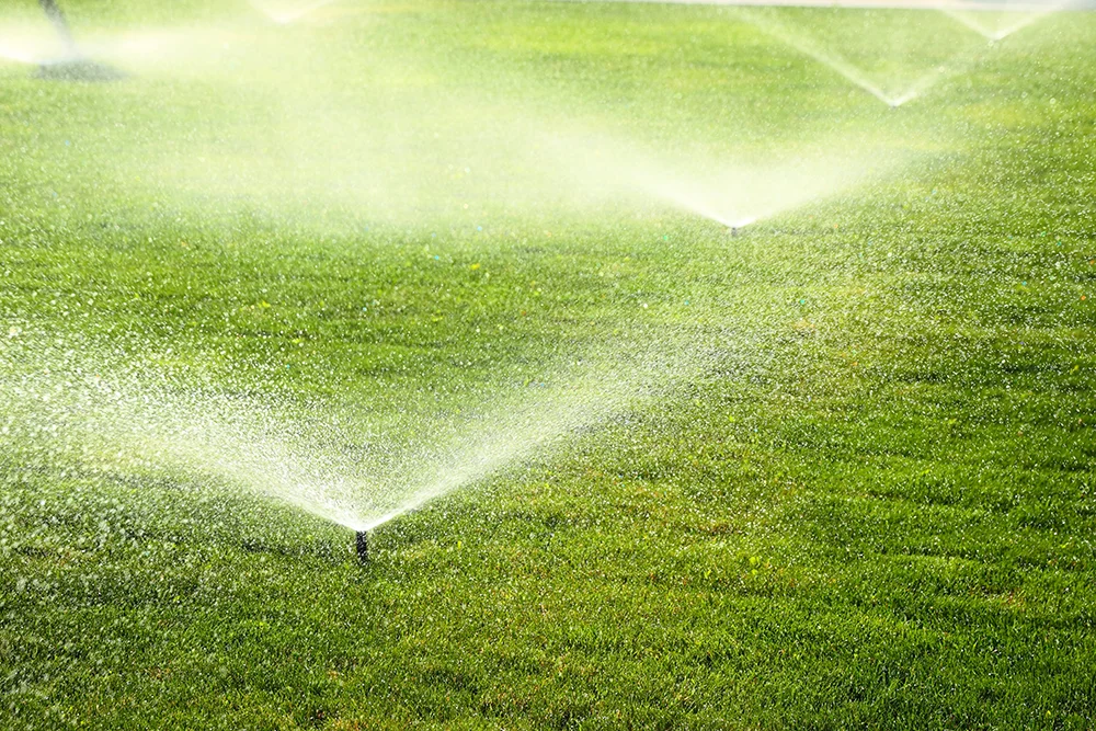 A green yard with sprinklers spraying water.