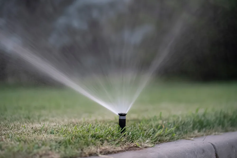 A single sprinkler on a residential lawn