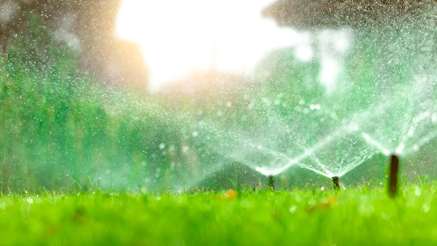Wasatch Front irrigation maintenance- sprinklers watering a green lawn